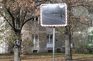 ZDM: lustra bardziej szkodliwe niż pożyteczne
