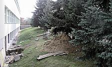 Rozbabrany Lelewel już tylko do końca roku