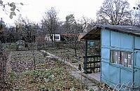 Działkowcom potrzebny Mojżesz