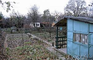 Działkowcom potrzebny Mojżesz