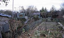 Działkowcom potrzebny Mojżesz