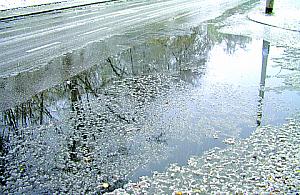 Interwencja: "jeziorko" na Konarskiego