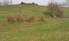 Wola Zmian: mieszkańcy chcą decydować o budżecie