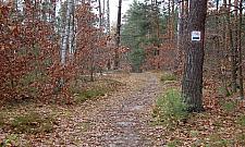 Wawerskie ścieżki rowerowe, czyli wielka ściema?