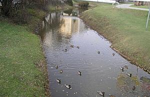 Na wszystko brakuje, jest głównie na kanały