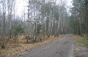 Zmieńmy razem białołęckie lasy