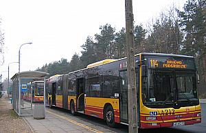 Mieszkanka: zmienić trasę autobusu 114. ZTM: nie.