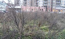 Kino W-Z będzie nadal straszyć