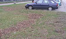 Potrzebne zatoki przy Malborskiej. Nie da się?