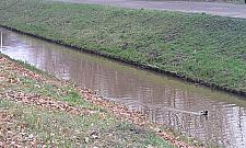 Rzewińska - zapomniana przez radnych i ludzi
