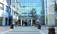 Ratusz rozdaje testy przesiewowe - skorzystaj