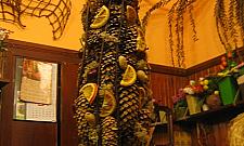 Kwiaciarnia na Kopernika - miejsce oryginalne