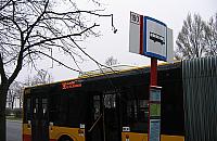 Wieczorne powroty na Jelonki: w tłoku