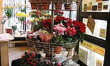 Kwiaciarnia przy Kasprowicza: wraca moda na goździki