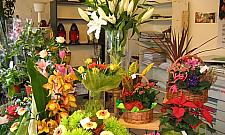 Kwiaciarnia przy Kasprowicza: wraca moda na goździki