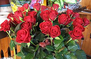 Kwiaciarnia przy Ciołka niezmiennie od lat