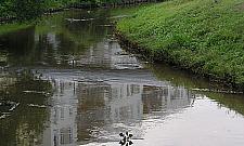 Wiosna: szkoły w rozsypce, inwestujemy w Kanał Bródnowski