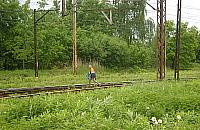 Czym żyła Wola w ubiegłym roku? Zima i wiosna