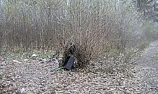 Wola 2012 - ciąg dalszy nastąpił