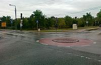 Latem rządziła zabójcza Mrówcza