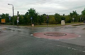 Latem rządziła zabójcza Mrówcza