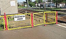 Latem rządziła zabójcza Mrówcza