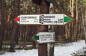 Na narty? Na Młociny!