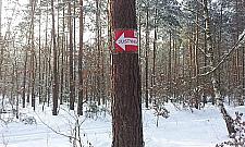 Na narty? Na Młociny!