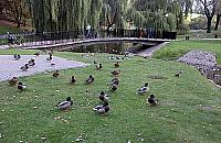 Park Sowi�skiego ma ju� monitoring, koniec z wandalizmem?