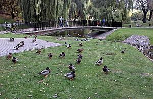 Park Sowińskiego ma już monitoring, koniec z wandalizmem?