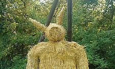 Barejowski miś znowu spłonął