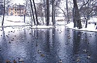 Zaniedbany park przy Stawach Kellera