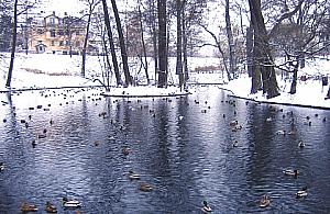 Zaniedbany park przy Stawach Kellera