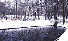 Zaniedbany park przy Stawach Kellera