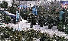 Bazarek przy Trockiej koliduje z metrem