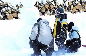 Dlaczego w szkołach nie ma "Zimy w mieście"?