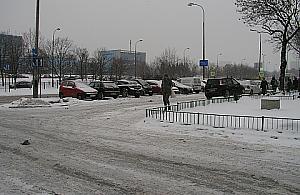 Kondratowicza: ziemniakami walczą o parking przy Tesco