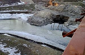 Osuszono fosę w Forcie Bema. Co się stało z rybami?