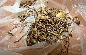 Gotowała zupę na... halucynogenach