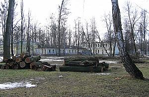 Zniknęły topole. WAT ogołociła Stare Bemowo