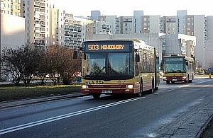 Co jest z porannym 503?