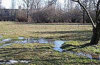 Rozlewisko przy Synów Pułku zagraża dzieciom