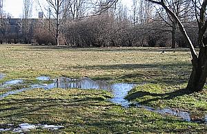 Rozlewisko przy Synów Pułku zagraża dzieciom