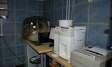 Nieustająco trwa moda na jamniki i yorki