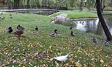 Siłownie w wolskich parkach?