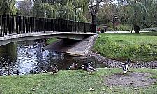 Siłownie w wolskich parkach?