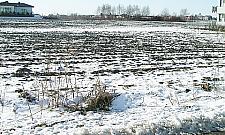 Przychodnia na Chrzanowie w 2015 r.