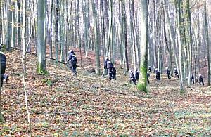 Zagubiona nastolatka wróciła pociągiem