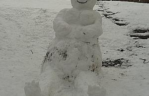 Zające wyłażą spod śniegu