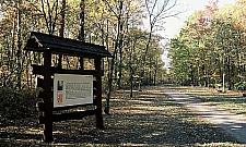 Wystawa w galerii handlowej. Polskich lasów nie ubywa